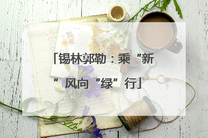 锡林郭勒：乘“新”风向“绿”行