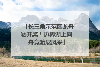 长三角示范区龙舟赛开桨！边界湖上同舟竞渡展风采