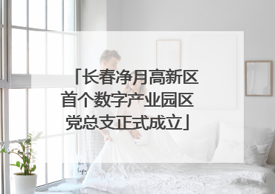 长春净月高新区首个数字产业园区党总支正式成立