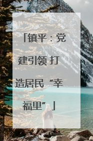 镇平：党建引领 打造居民“幸福里”