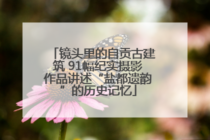 镜头里的自贡古建筑 91幅纪实摄影作品讲述“盐都遗韵”的历史记忆