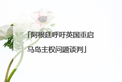 阿根廷呼吁英国重启马岛主权问题谈判