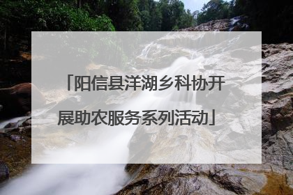 阳信县洋湖乡科协开展助农服务系列活动
