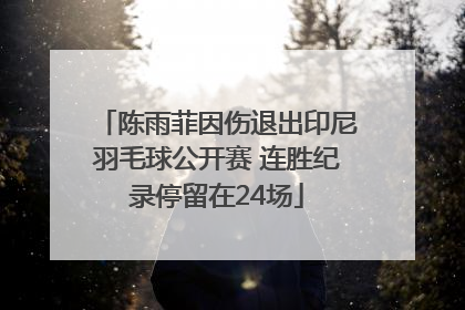 陈雨菲因伤退出印尼羽毛球公开赛 连胜纪录停留在24场
