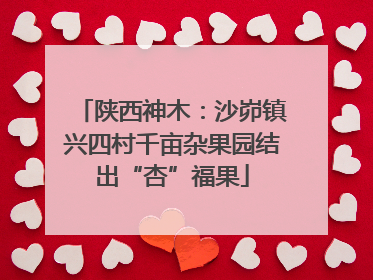 陕西神木：沙峁镇兴四村千亩杂果园结出“杏”福果