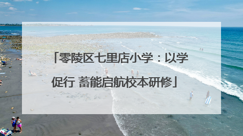 零陵区七里店小学：以学促行 蓄能启航校本研修