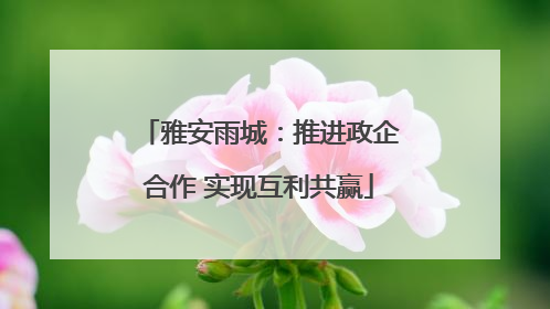 雅安雨城：推进政企合作 实现互利共赢