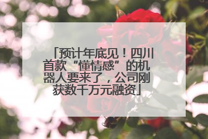预计年底见！四川首款“懂情感”的机器人要来了，公司刚获数千万元融资