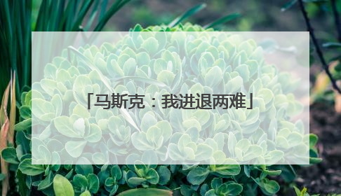 马斯克：我进退两难