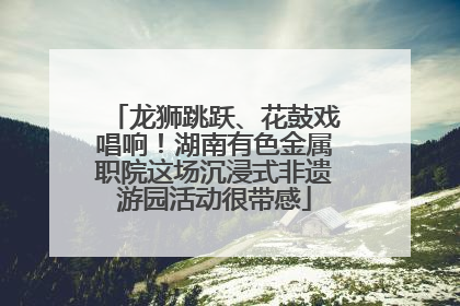 龙狮跳跃、花鼓戏唱响！湖南有色金属职院这场沉浸式非遗游园活动很带感