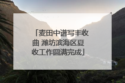 麦田中谱写丰收曲 潍坊滨海区夏收工作圆满完成