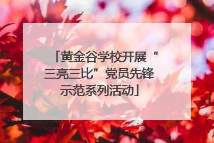 黄金谷学校开展“三亮三比”党员先锋示范系列活动