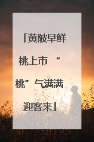 黄陂早鲜桃上市 “桃”气满满迎客来