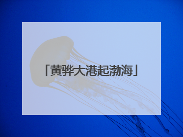 黄骅大港起渤海