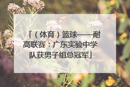 （体育）篮球——耐高联赛：广东实验中学队获男子组总冠军