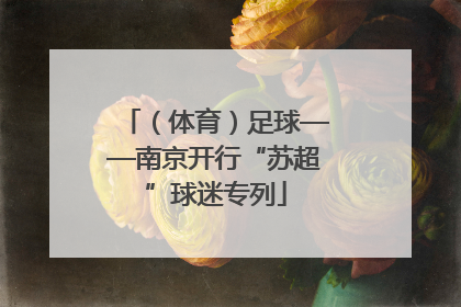 （体育）足球——南京开行“苏超”球迷专列