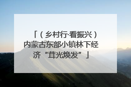 （乡村行·看振兴）内蒙古东部小镇林下经济“茸光焕发”