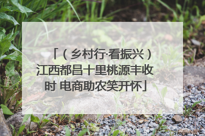 （乡村行·看振兴）江西都昌十里桃源丰收时 电商助农笑开怀