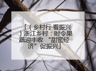 （乡村行·看振兴）浙江乡村：时令果蔬迎丰收 “甜蜜经济”促振兴