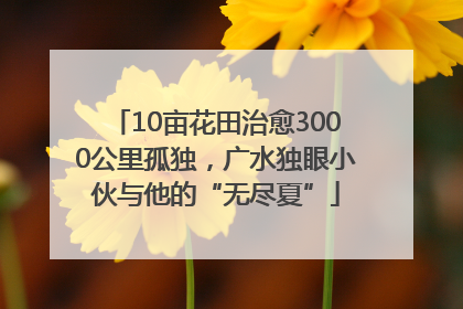 10亩花田治愈3000公里孤独，广水独眼小伙与他的“无尽夏”