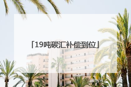 19吨碳汇补偿到位