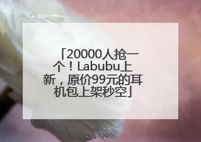 20000人抢一个！Labubu上新，原价99元的耳机包上架秒空