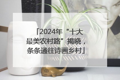 2024年“十大最美农村路”揭晓，条条通往诗画乡村