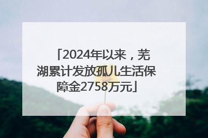 2024年以来，芜湖累计发放孤儿生活保障金2758万元