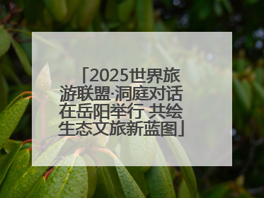 2025世界旅游联盟·洞庭对话在岳阳举行 共绘生态文旅新蓝图