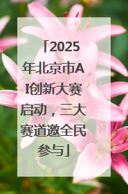 2025年北京市AI创新大赛启动，三大赛道邀全民参与