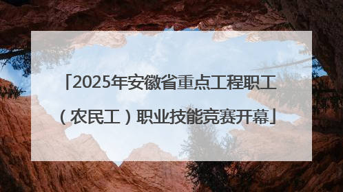 2025年安徽省重点工程职工（农民工）职业技能竞赛开幕