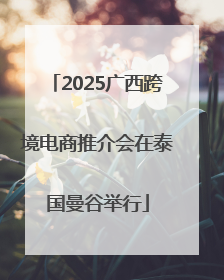 2025广西跨境电商推介会在泰国曼谷举行