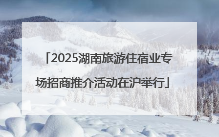 2025湖南旅游住宿业专场招商推介活动在沪举行