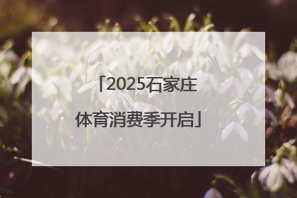 2025石家庄体育消费季开启