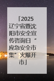 2025辽宁省暨沈阳市安全宣传咨询日“应急安全市集”火爆开市