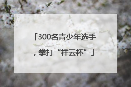 300名青少年选手，拳打“祥云杯”