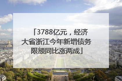 3788亿元，经济大省浙江今年新增债务限额同比涨两成