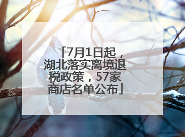 7月1日起，湖北落实离境退税政策，57家商店名单公布