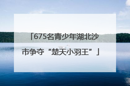 675名青少年湖北沙市争夺“楚天小羽王”