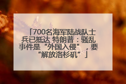 700名海军陆战队士兵已抵达 特朗普：骚乱事件是“外国入侵”，要“解放洛杉矶”