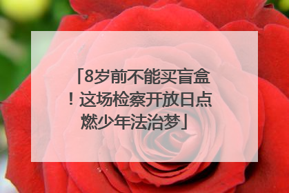 8岁前不能买盲盒！这场检察开放日点燃少年法治梦