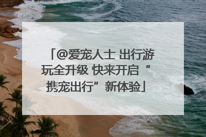 @爱宠人士 出行游玩全升级 快来开启“携宠出行”新体验